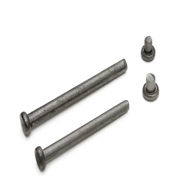 DX Scharnpen RVS + dummy voor kogellagerscharnier 3 mm per 50 stuks
